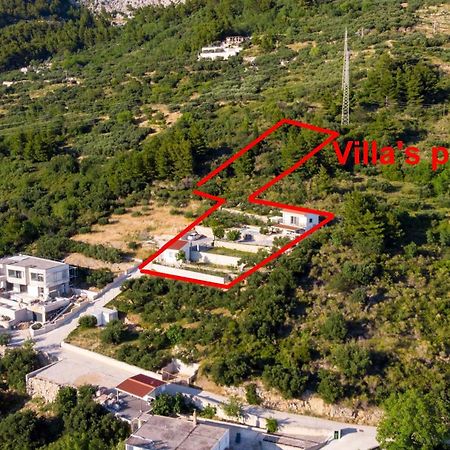 הוילה מאקרסקה Olive Stone House מראה חיצוני תמונה