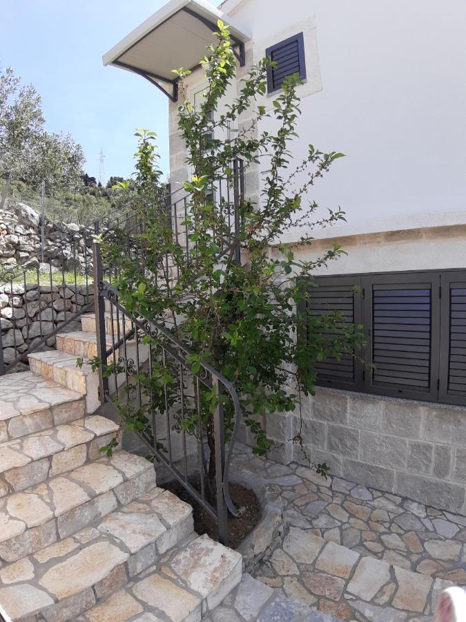 הוילה מאקרסקה Olive Stone House מראה חיצוני תמונה